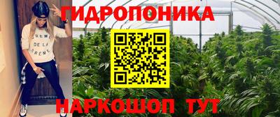 MDMA Premium VHQ Камышлов