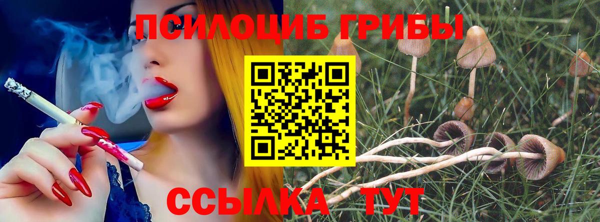 Псилоцибиновые грибы GOLDEN TEACHER Куйбышев