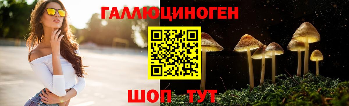 Галлюциногенные грибы GOLDEN TEACHER  Вход с VPN  Куйбышев 